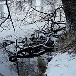 Am Schaalsee شقة