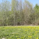 Am Schaalsee * Zarrentin am Schaalsee