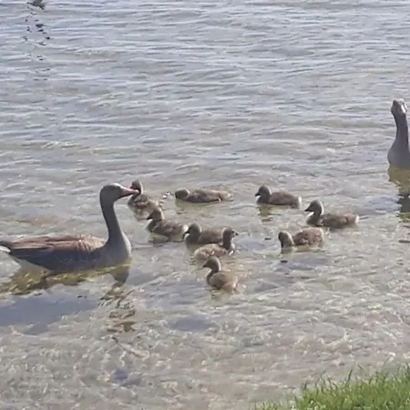 Am Schaalsee * Zarrentin am Schaalsee