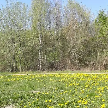 Am Schaalsee * Zarrentin am Schaalsee